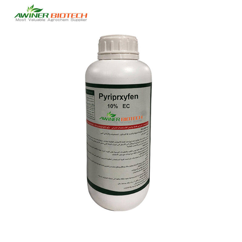 pyriproxyfen lice